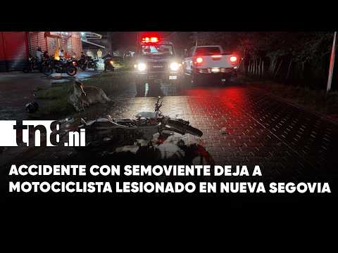 Motociclista resulta lesionado tras impactar contra una vaca en Jalapa, Nueva Segovia