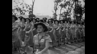 Of Words and War: Neta Lawrence