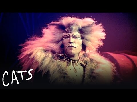 The Rum Tum Tugger | Cats the Musical