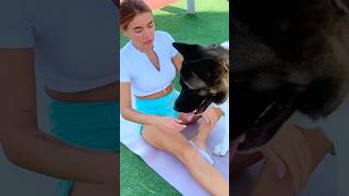 When Your Dog Thinks He’s Your Personal Trainer 😂💪 #dogfunny #dogtrainer #fitnessfun #viralshorts