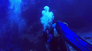 Cozumel 2023, Day 2, Dive 1, Part 1