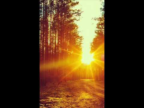 [FREE] PNL type beat | (prod by. Art_Beat67)