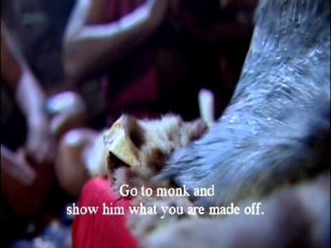 กูให้มึงรวย