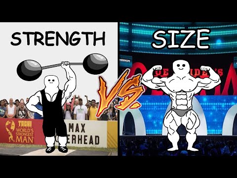 Strength Vs Size (What's Better?)