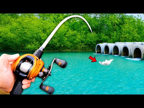 Fishing a Hidden Pond for MONSTER Bass! (Bed Fishing)