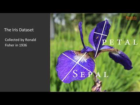 Learning Neural Networks with Tensorflow – The Iris Dataset | packtpub com