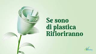 Se son di plastica, Rifioriranno