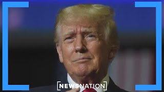 Why Trump is considering travel ban for 43 countries | NewsNation Now