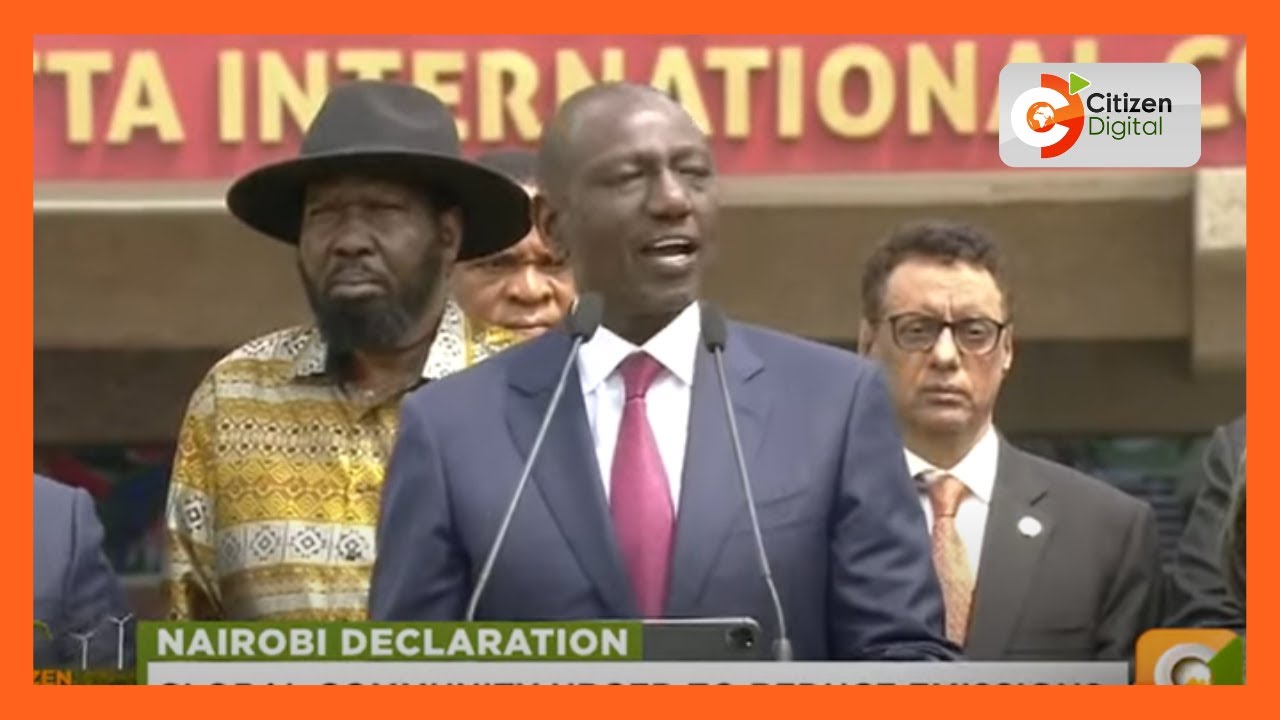 AU leaders commit to mobilising resources to battle climate change