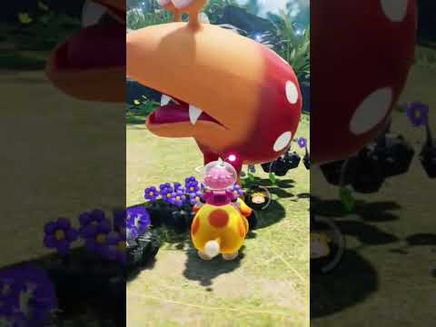 岩ピクミン100匹でジャンボチャッピー撃破【ピクミン4 PIKMIN4】 #pikmin4 #pikmin #ピクミン