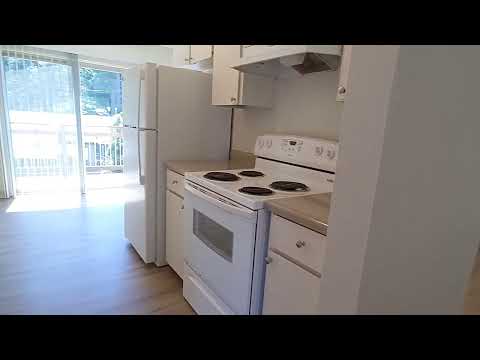 The Meadows - Video 7 of 7