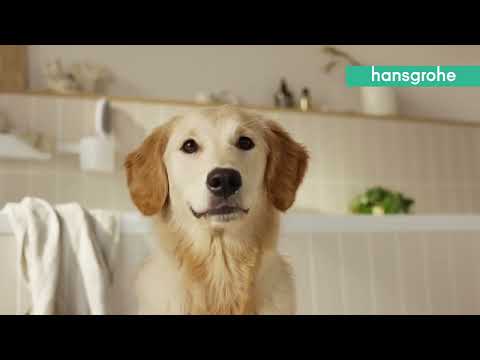 Hansgrohe DogShower - Sprchová hlavice 150, 3 proudy, masážní trysky, matná bílá 26640700
