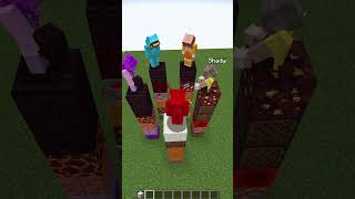 Minecraft TELEPATHY! 3