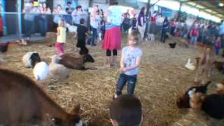 preview picture of video 'Cuddles of fun - petting zoo - Gold coast show 2011 Australia'