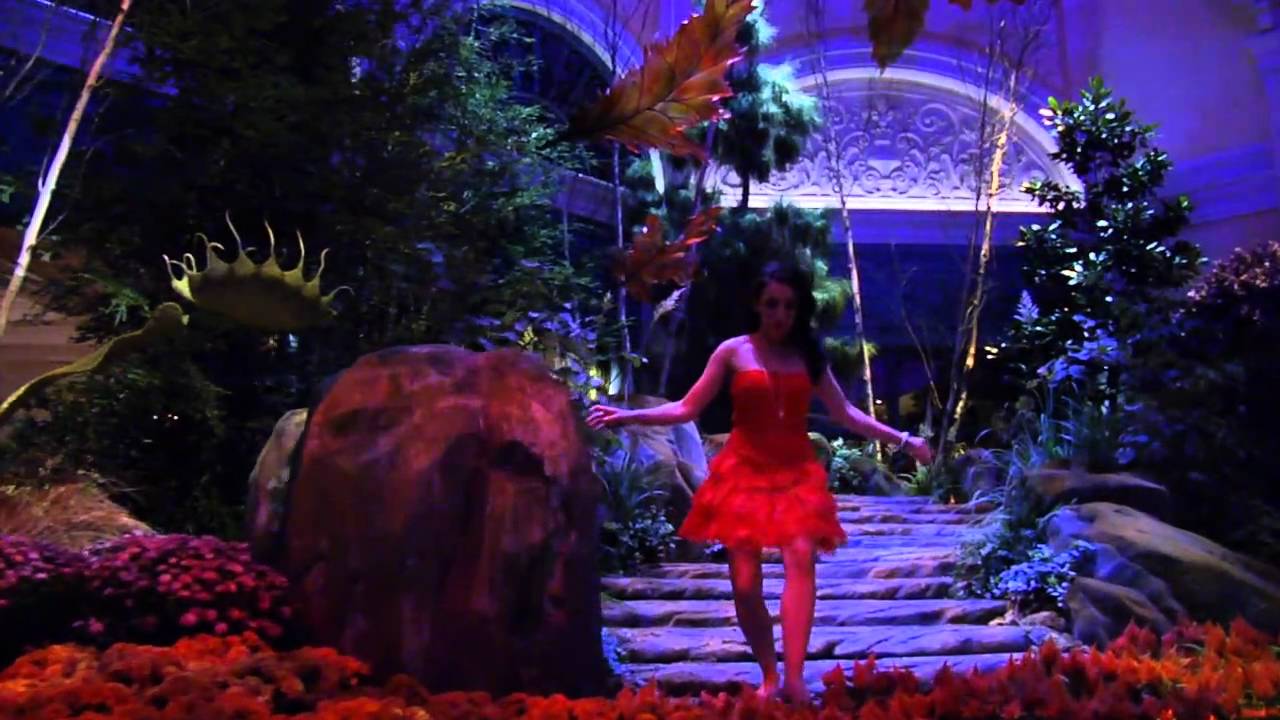 VIViD - official TEASER TRAILER