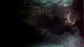 Vicky Cryer &quot;The Synthetic Love of Emotional Engineering&quot;