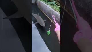 Download lagu Let's go shark fishing guys, it'll be fun!! mp3 Download lagu Let's go shark fishing guys, it'll be fun!! mp3