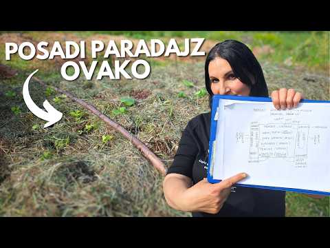 Save Tomato from the Biggest Problems - Plant Combination