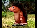 Mr Snail2 19 Hedgehog Porcupine MPEG