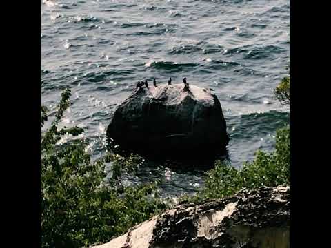 A Short Hike | Free Nature Field Recording Sound Pack