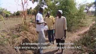 L'horticulture burkinabé revient à la vie