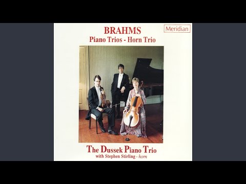 Piano Trio No.1 in B Major, Op. 8: IV. Finale. Allegro