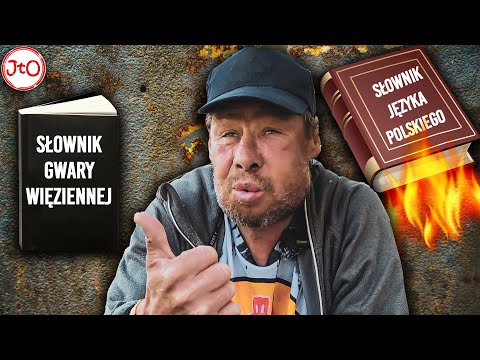 BAJERANT TŁUMACZY słownik GRYPSERY