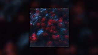 𝐋𝐚𝐧𝐚 𝐃𝐞𝐥 𝐑𝐞𝐲 - 𝐘𝐨𝐮𝐫 𝐠𝐢𝐫𝐥 (𝐬𝐥𝐨𝐰𝐞𝐝 + 𝐫𝐞𝐯𝐞𝐫𝐛)