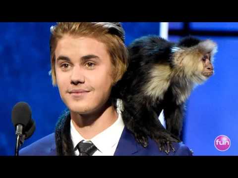 Justin Bieber vs Pavol Hammel - Kamalásky Love yourself (mash-up)