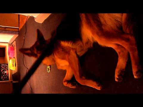 Den der ligger på gulvet må man støvsuge op...