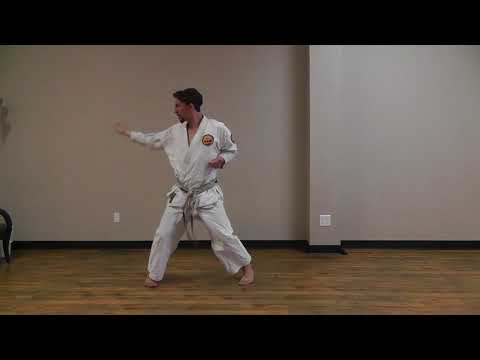 Renshi Richard Poage - Naihanchi Shodan (Two Speeds) from 2015