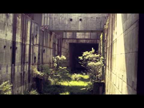 Reza - Concrete Jungle