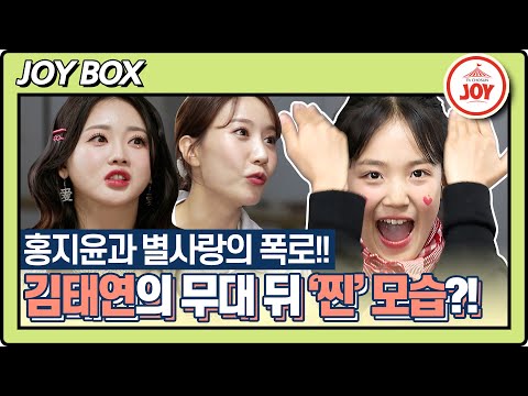 [JOY BOX]무대 위 주체 못할 흥과 끼 아기범 김태연의 미스트롯2 무대 뒤 반전 모습은 스타다큐마이웨이(221106 방송)
