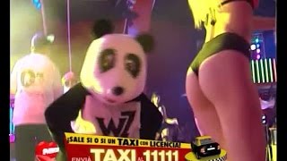 Wz en Pasión de Sábado - Oso panda