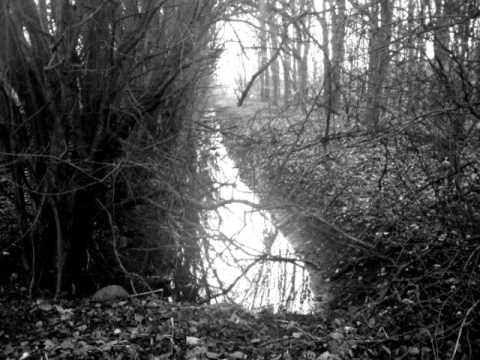 Fjorsvartnir   The Blood Of Our People