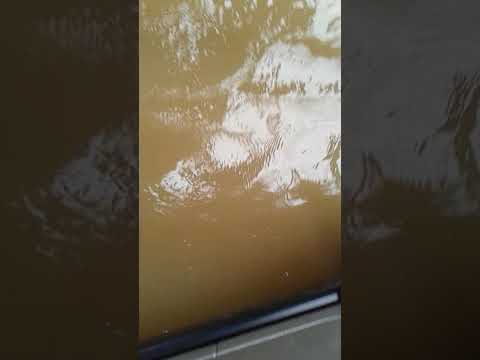 Sallisaw Oklahoma is flooded!!