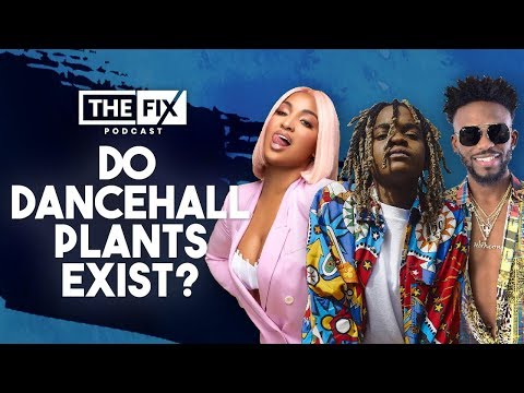 Do Industry Plants Exist In Dancehall? || The Fix Podcast