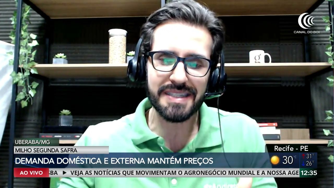 Milho e soja seguem com mercado atento à demanda e ao clima