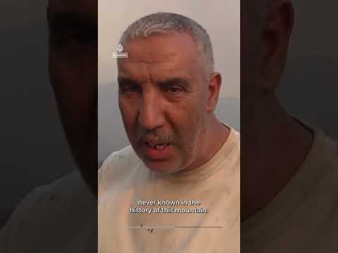 Algeria residents mourn neighbours lost in wildfire aftermath |AJ #shorts