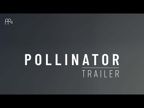 Pollinator