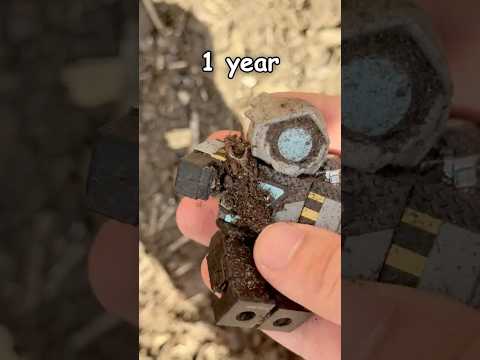 I Buried This Roblox Toy For 1 Year, Did it Survive? #roblox #shorts #tds #towerdefensesimulator