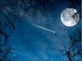 Steve Cole - Where the Night Begins