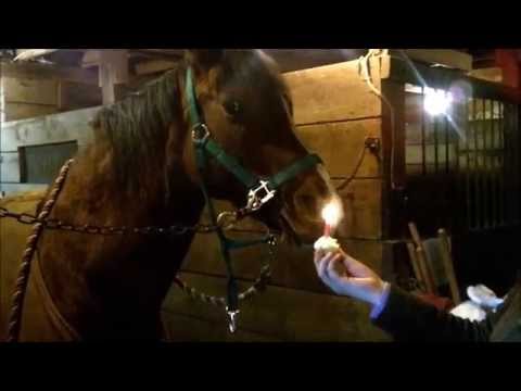 Kyan's Birthday Cupcake