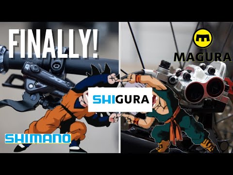 SHIGURA! Finally happened 😬