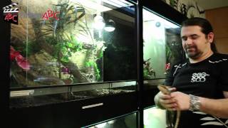 preview picture of video 'Tierhandlung Zoo Exklusiv GmbH in Langenlois bei Krems - Zoohandlung, Aquaristik, Terraristik'