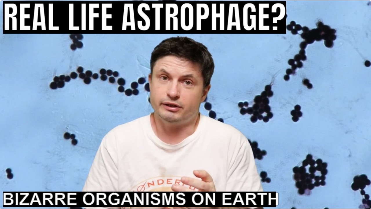Real Life Astrophage? Exciting Discoveries of Weird Fungi and Bacteria