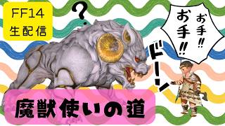 【FF14生配信】はじめての魔獣使い