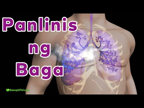 Panlinis ng Baga: Halamang Gamot sa Baga