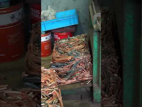 ミントの花の Lycaena dispar