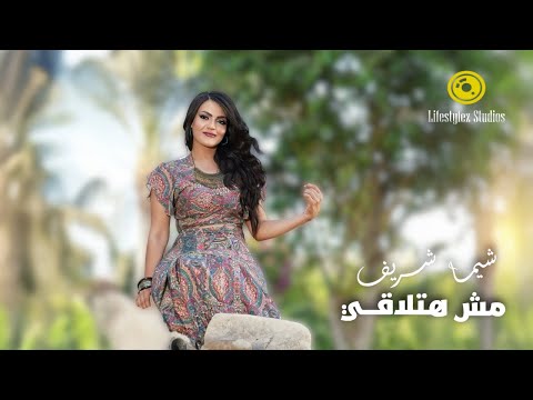 مش هتلاقي